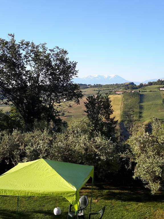 B&B L'Albero Di Antonia Атри Экстерьер фото