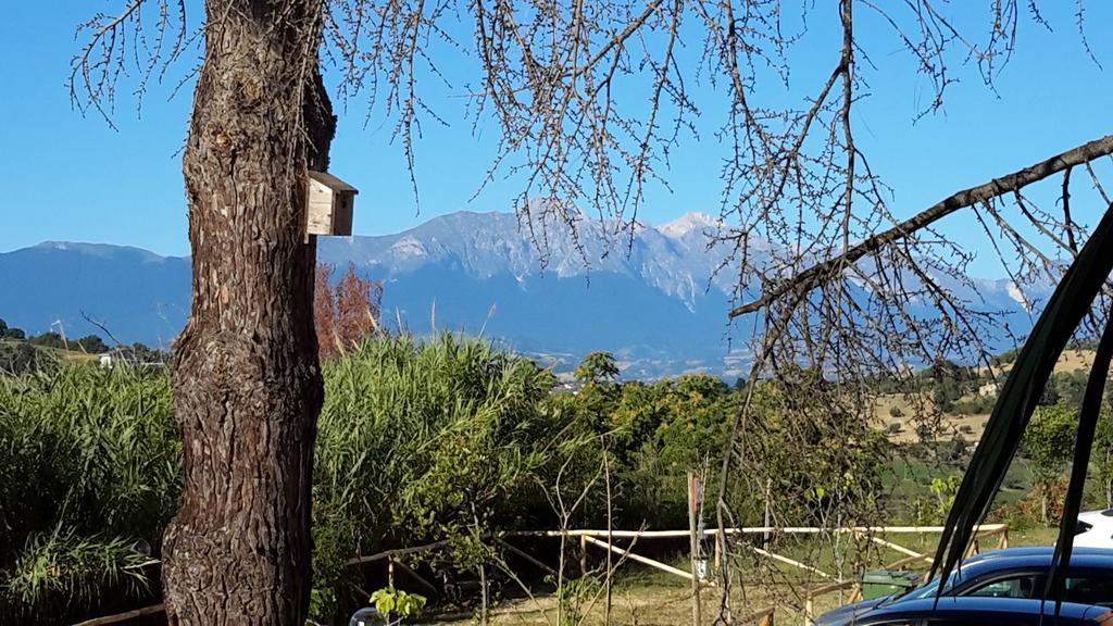 B&B L'Albero Di Antonia Атри Экстерьер фото