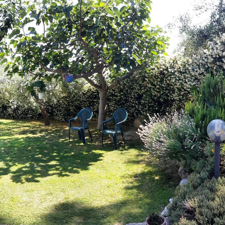 B&B L'Albero Di Antonia Атри Экстерьер фото